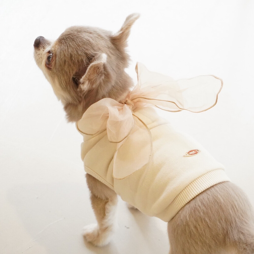 THE LUXURY TIME WITH DOG  Ote. POP UP SHOP