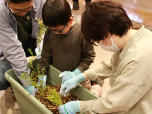 「地球にやさしい　さくらパンダおせち」植樹体験イベント 