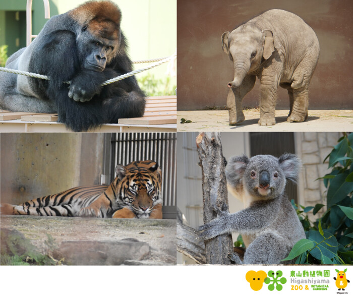【参加者募集】動物のこと、みんな知っている？〜東山動植物園コラボレーションセミナー〜
