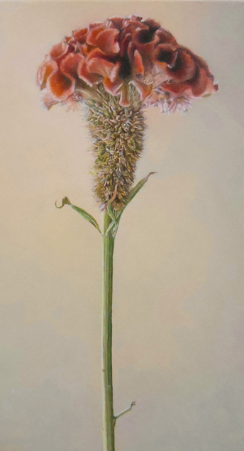 伊藤晴香　洋画展　Sunny II