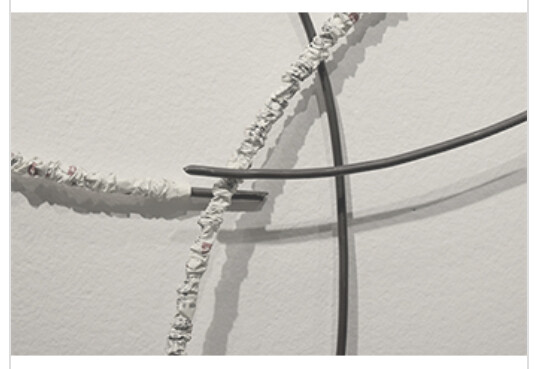 ただ一輪の薔薇、それはすべての薔薇　セシル・アンドリュ／深川瑞恵