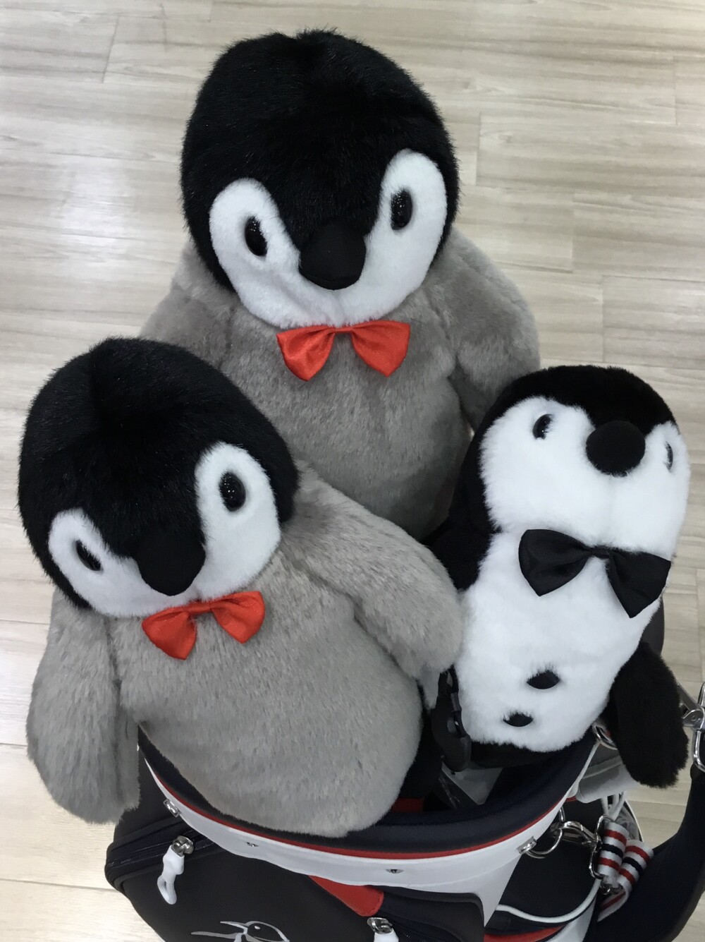 メンズ　レディス　中綿ブルゾン