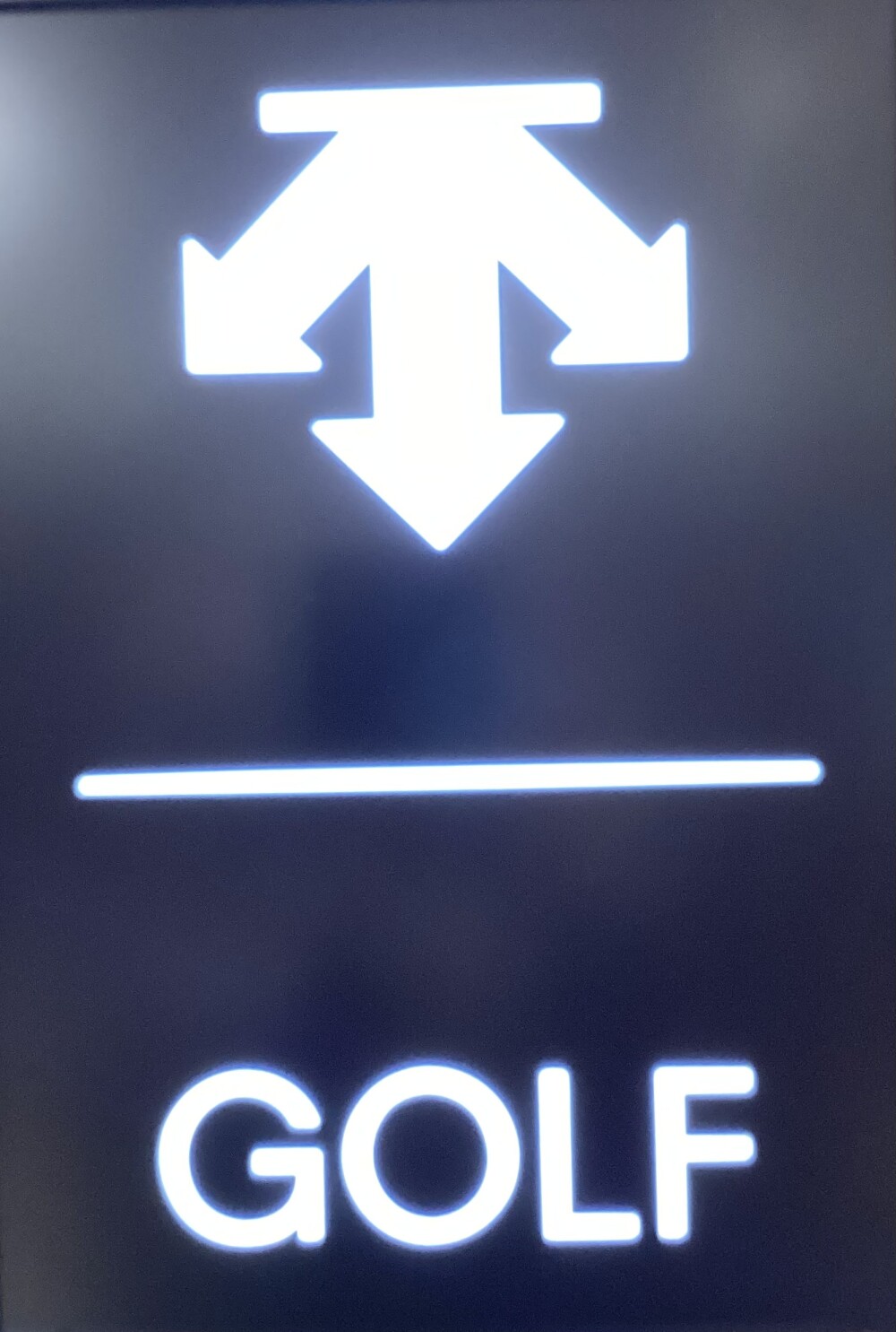 レディス　ダウンスカート