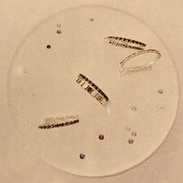 2026年ラッキーカラー🌅ジュエリー✨