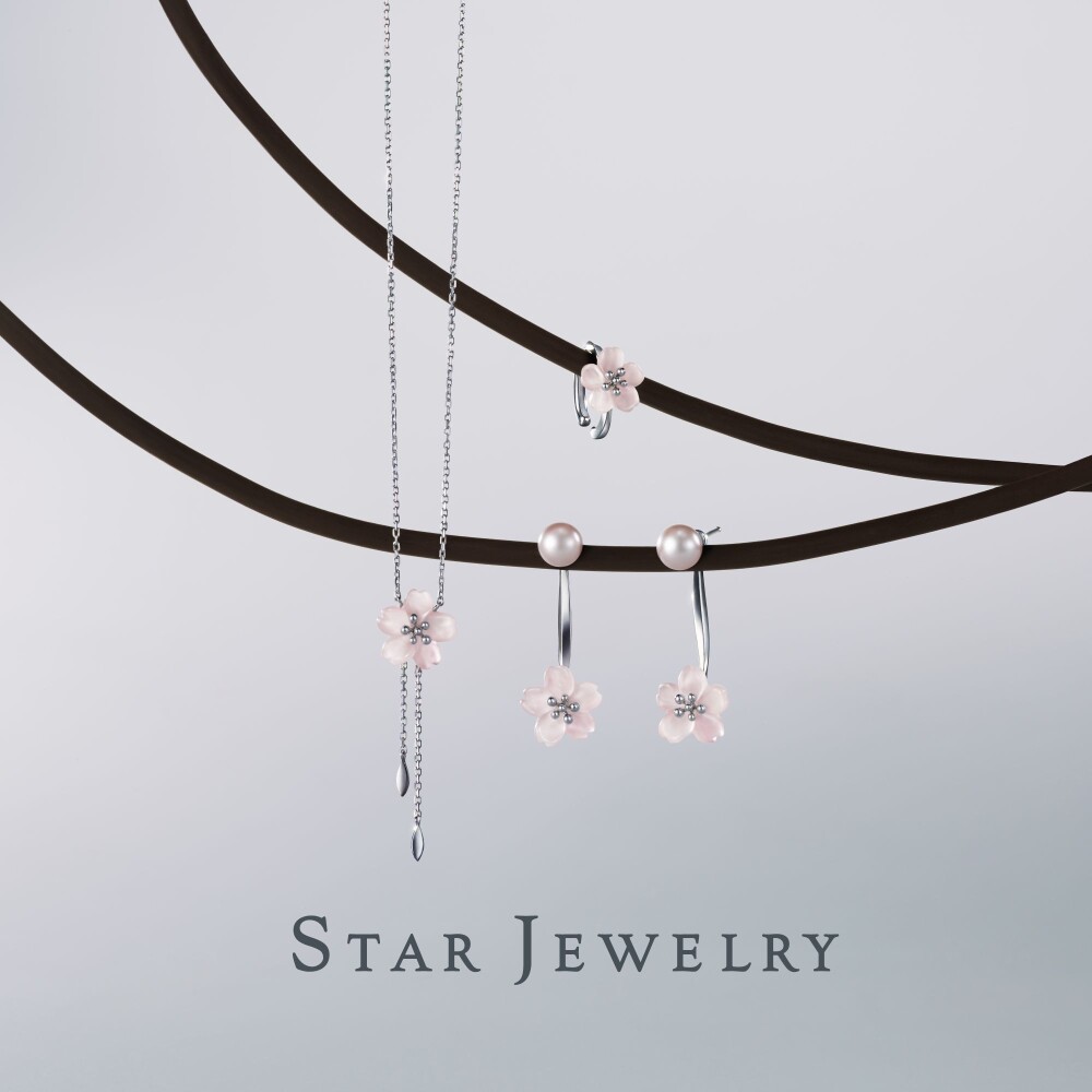 数量限定SAKURA 2026【タオルハンカチ付】