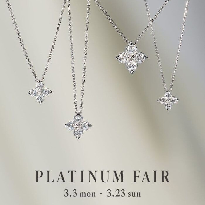 PLATINUM FAIR 2025