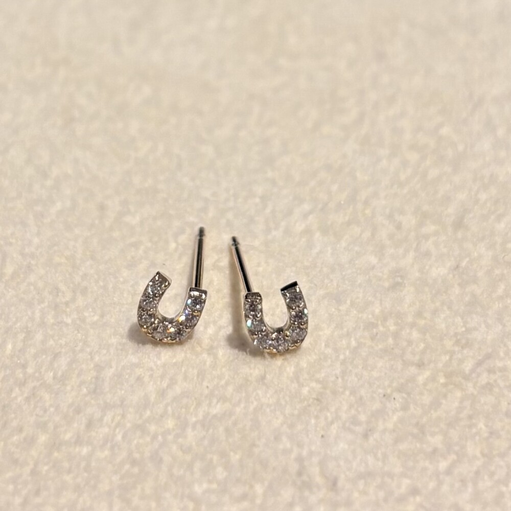 馬蹄ピアス