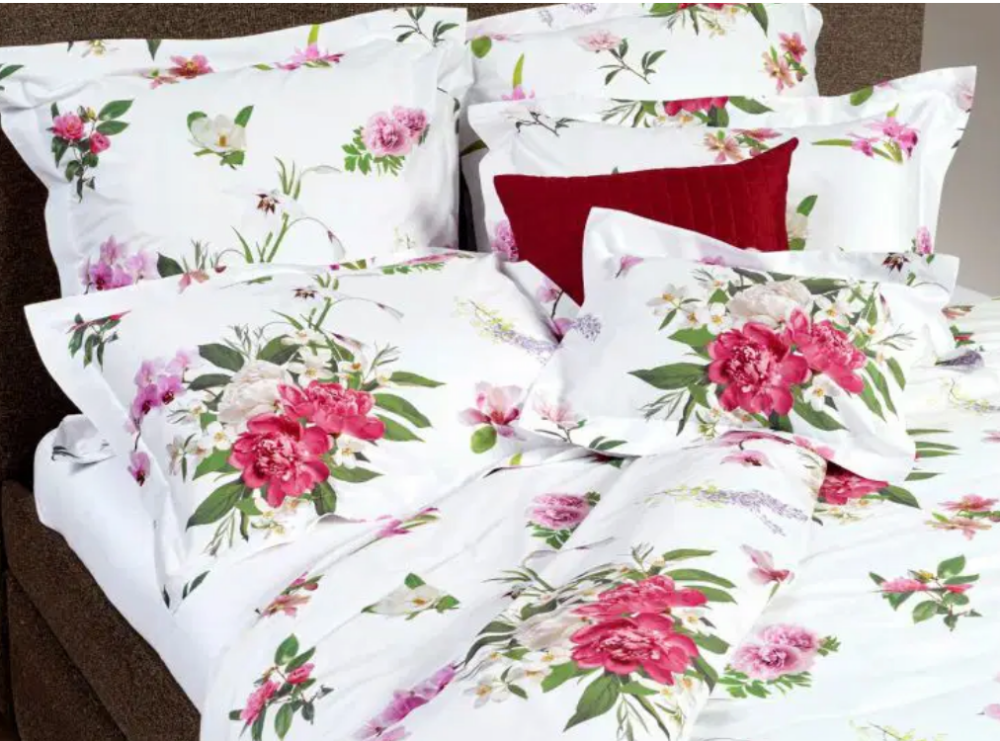 VIVACE　春の新作　SIGNORIA