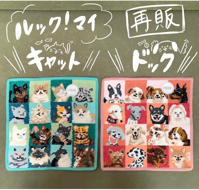 【再販】ルック！マイキャット・ドック