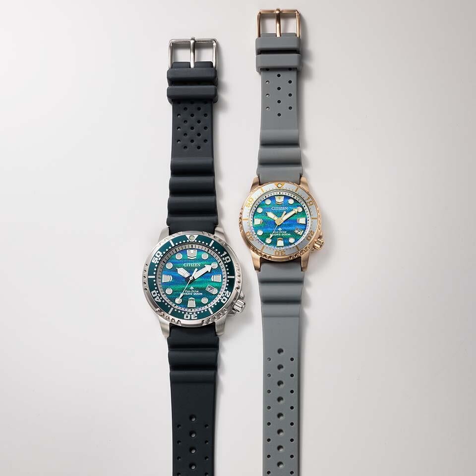 【限定】プロマスター