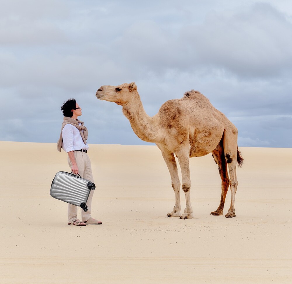 超軽量シリーズの限定モデル発売