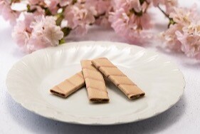 🌸春満開🌷　本高砂屋『春の限定商品』展開中❗️