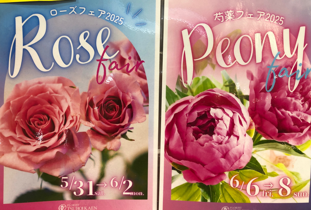 今年もやります！ローズ・芍薬フェア🌹