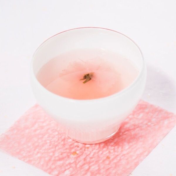 春の桜商品が揃っています🌸