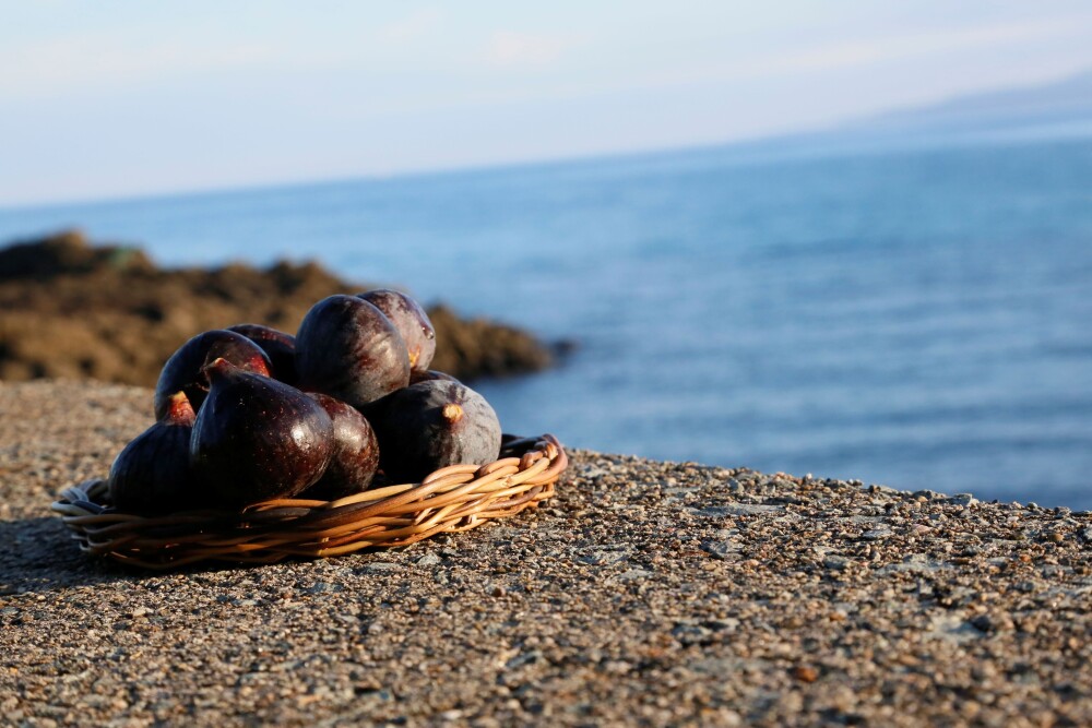 佐渡の黒いちじくジャム入荷のお知らせ