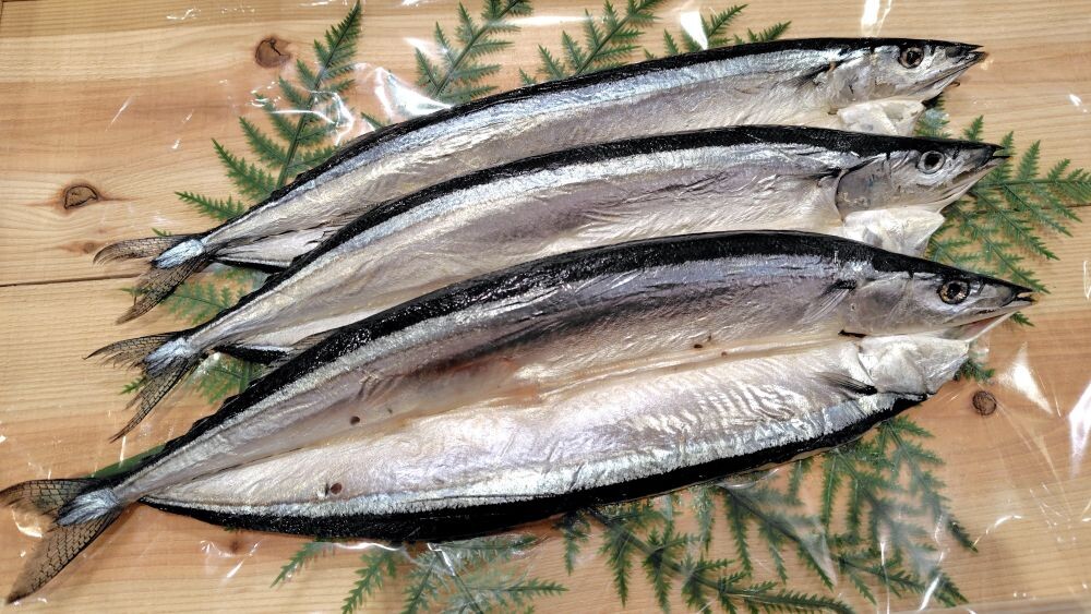 秋の魚といえばさんま