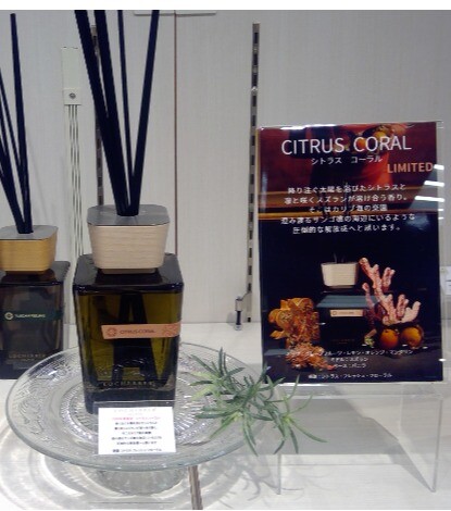 ロッケルベル　～2026年夏限定の香り～