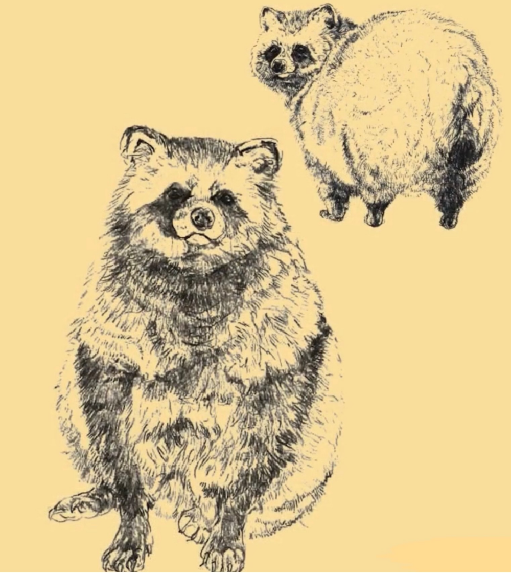 【旭山動物園応援企画】新作エゾタヌキ　アクセサリー