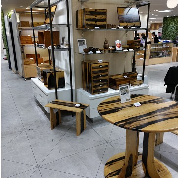 新しきキノカタチ展