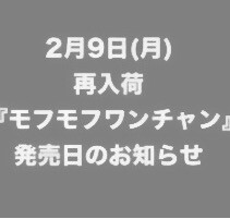 『モフモフワンチャン』発売日のお知らせ