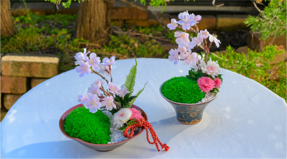 🌸Spring Collection 2026🌸