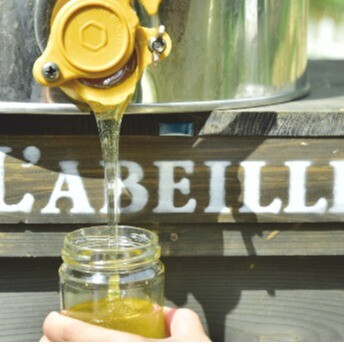 蜜しぼり体験会・量り売り即売会を開催