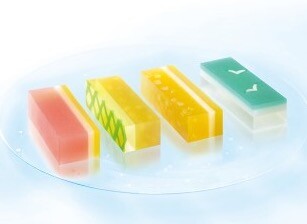 冷やして美味しい　夏のささらがた🧊