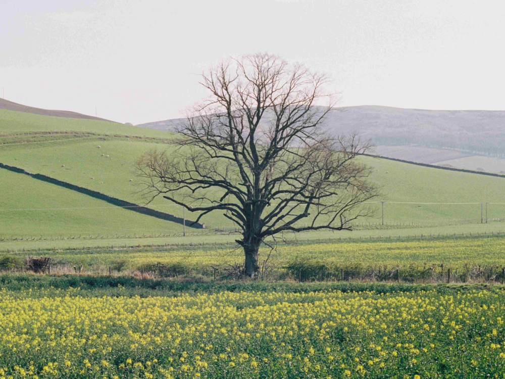 BEGG×CO　春のオススメ