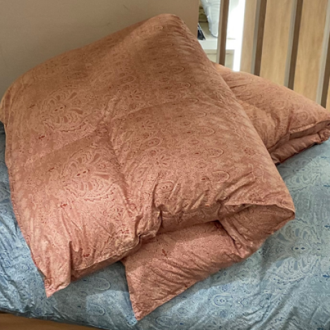 西川寝具フェア | リビング TOPICS | 松坂屋名古屋店公式 SHOP BLOG