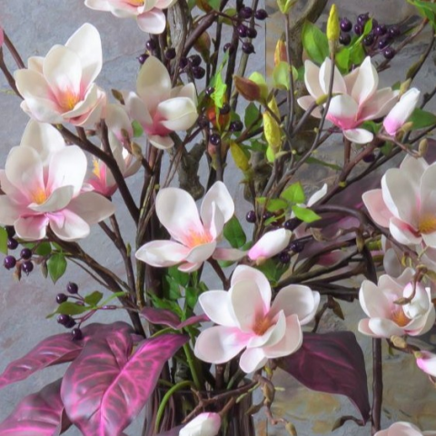 マグノリア入荷してます | エミリオ・ロバ | 松坂屋名古屋店公式 SHOP BLOG