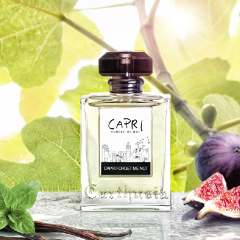 カルトゥージア カプリ フォーゲットミーノット | カルトゥージア