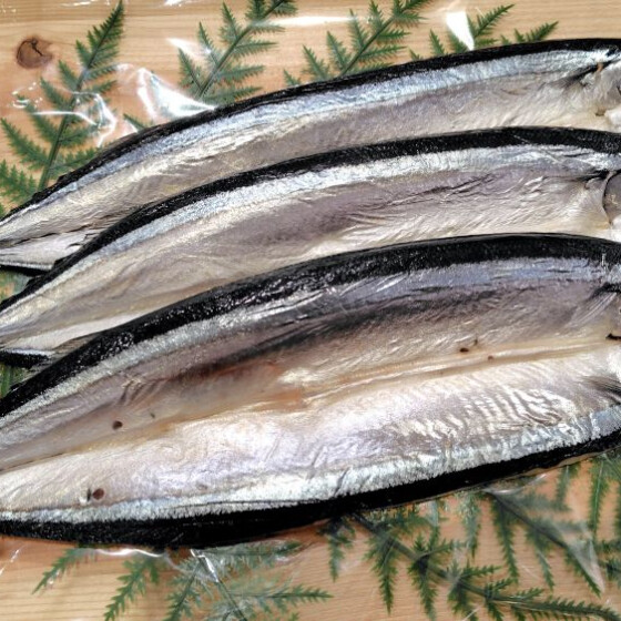 秋の魚といえばさんま