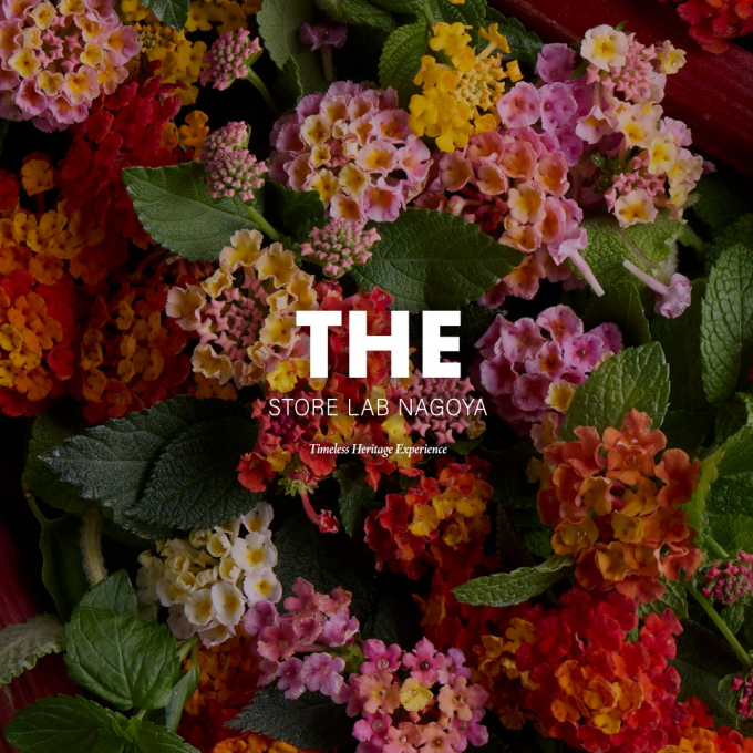 THE STORE LAB NAGOYA