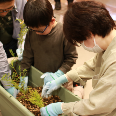 「地球にやさしい　さくらパンダおせち」植樹体験イベント 
