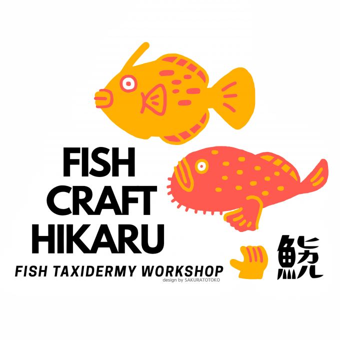 魚のヒミツにふれてみよう！ 剥製作家とつくる「ミドリフサアンコウ」の剥製ワークショップ