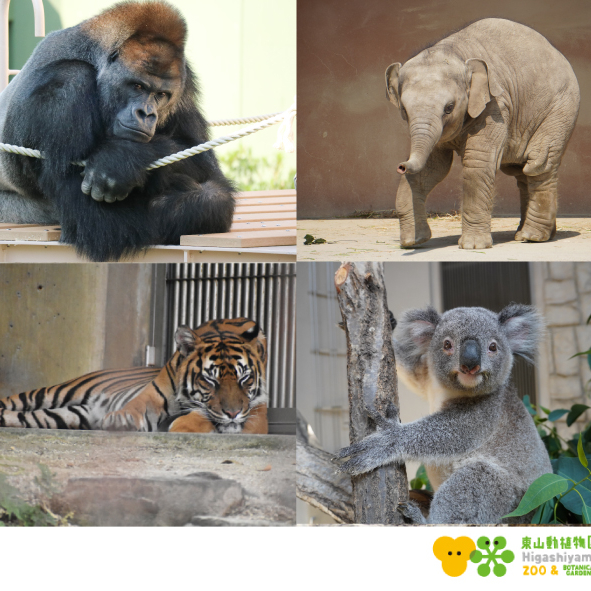 【参加者募集】動物のこと、みんな知っている？〜東山動植物園コラボレーションセミナー〜