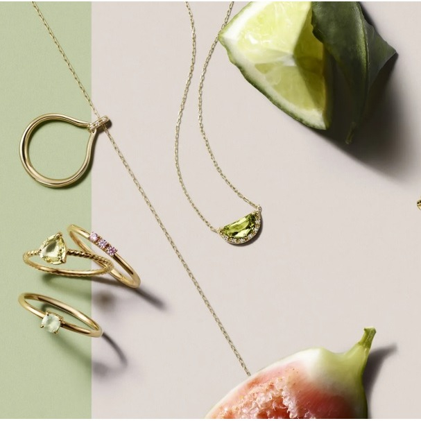 2025 Spring Collection －Dewy－