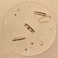 2026年ラッキーカラー🌅ジュエリー✨