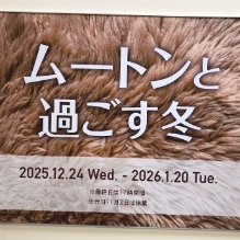 ムートンと過ごす冬