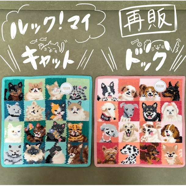 【再販】ルック！マイキャット・ドック