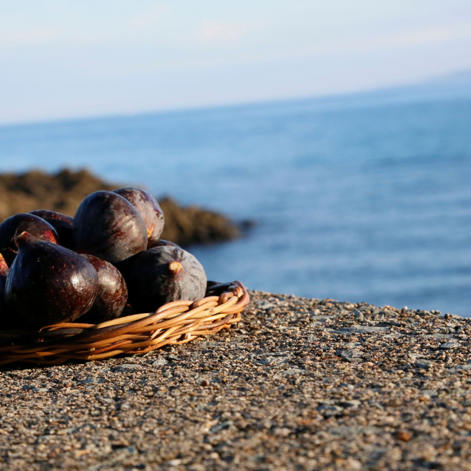 佐渡の黒いちじくジャム入荷のお知らせ