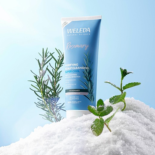夏のヘアケアにおすすめ！ 爽快なスカルプクレンジングをご紹介🌿❄️