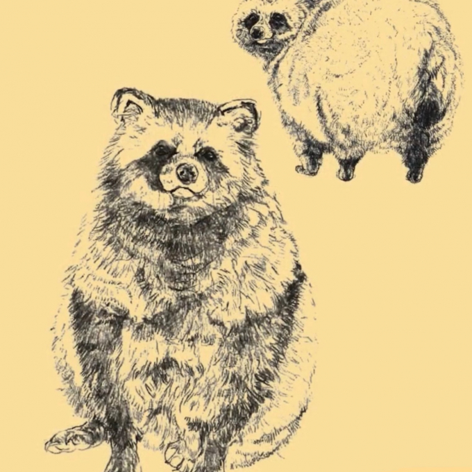 【旭山動物園応援企画】新作エゾタヌキ　アクセサリー