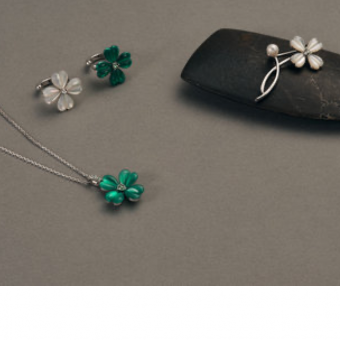 新作シェルクローバー