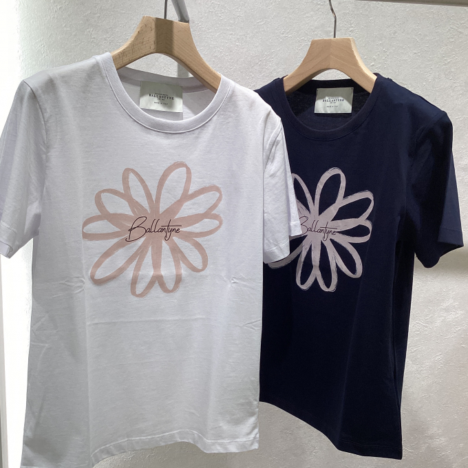 ☆夏物Tシャツ特集☆アリアキアラブログVol.264
