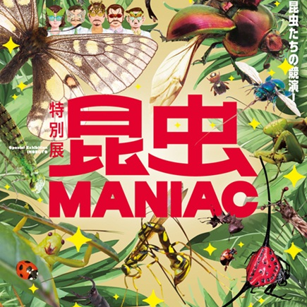 【販売中】昆虫MANIAC
