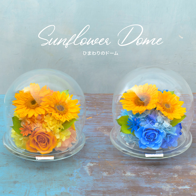 🌻夏を先取り✨ひまわりコレクション🌻