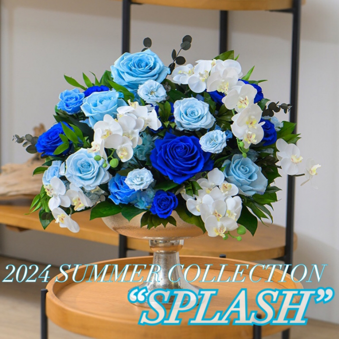 《⛱️2024 SUMMER COLLECTION " Make a Splash "⛱️&🌻ひまわり🌻》