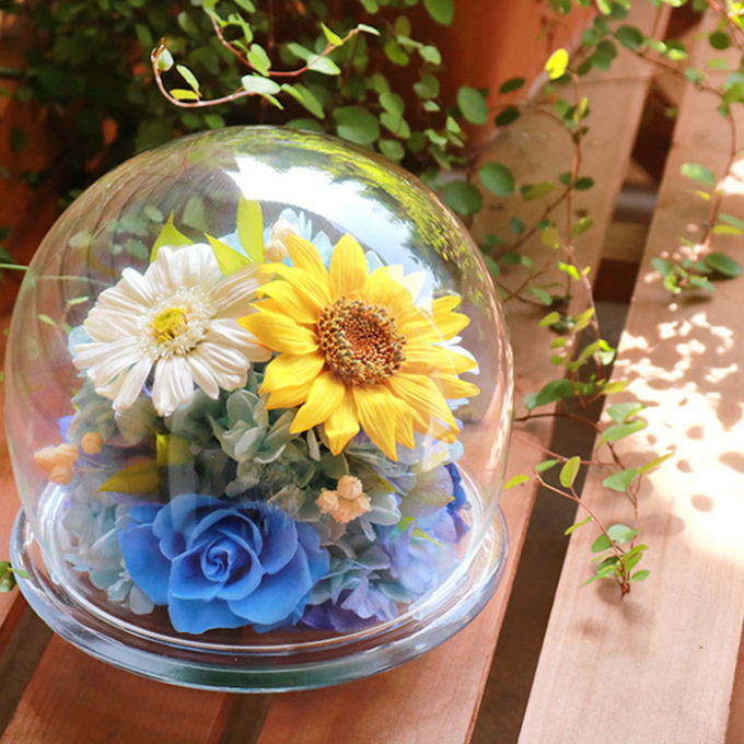 夏といえば…？🌻