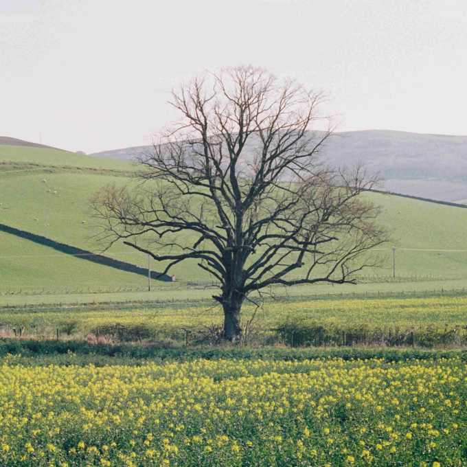 BEGG×CO　春のオススメ